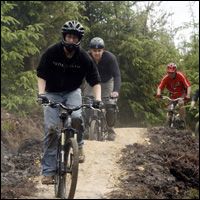 Forest Biking On The Right Track